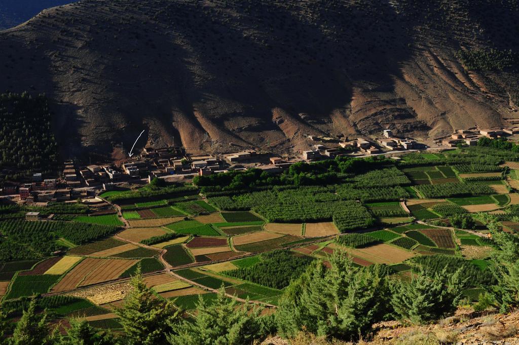 Riad La Fibule Berbere Tabant Bagian luar foto