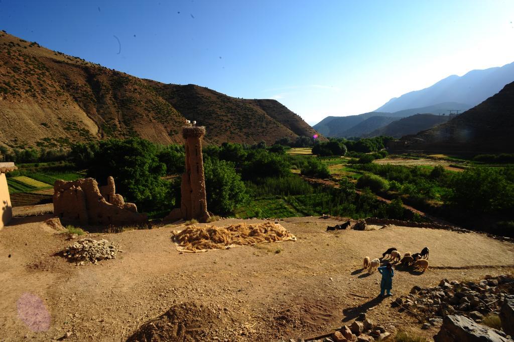 Riad La Fibule Berbere Tabant Bagian luar foto